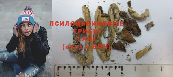 спайс Абаза